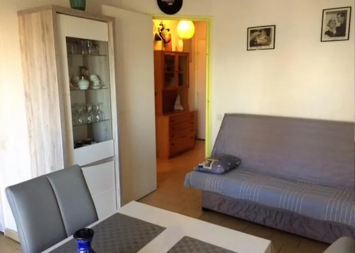 Acces Direct Pour Ce Superbe T2 Moderne Et Fonctionnel - 6fr325